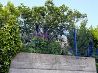 HSB Hans Schmid AG