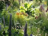 Nicolas Moduli - Aménagements et entretiens de jardins