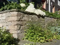 garten•kultur