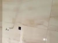 Urso Arte e Piastrelle