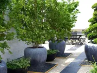 Castella Pépinières et Jardins