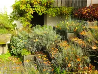 Villiger Arnosti Gartenbau AG