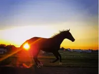 Equi Pi