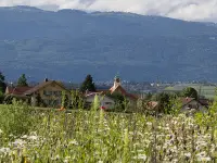 Gemeindeschreiberei Einwohnerkontrolle Kallnach
