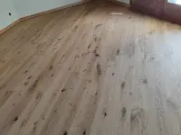 Edilspeed di Totu Iosif