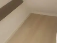 Giammarino Luigi, Renovationen