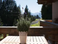 Hotel des Alpes