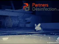 Partners Desinfection | Votre spécialiste en Nuisibles