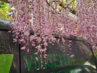 VINCENT ecopaysage