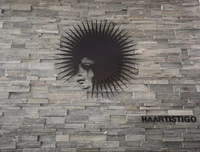 Logo HAARTISTIGO