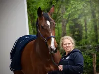 Equine Sports Medicine Services GmbH - Klicken Sie, um das Bild 18 in einer Lightbox vergrössert darzustellen