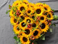 Zimmermann Flaach AG Blumen & Gartenbau