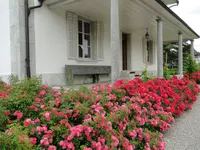 Wild Gartenbau AG