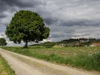 Gemeindeschreiberei Einwohnerkontrolle Kallnach