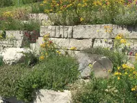 Käser Gartenbau AG - Klicken Sie, um das Bild 4 in einer Lightbox vergrössert darzustellen