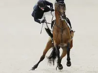 la Crinière