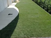 Buissonin Giardini