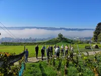 Weinbau Kaiserspan - Klicken Sie, um das Bild 15 in einer Lightbox vergrössert darzustellen