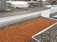 Aeschlimann Dachtechnik AG