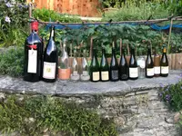 La Bottega Secondo Natura di Olivone