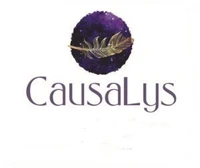 Causalys-Massage-Logo