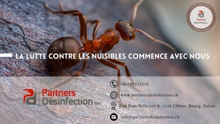 Anti Nuisibles | Partners Desinfection Sàrl