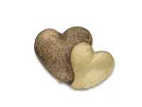 ABAS Bestattungen AG