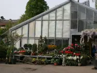 Senn Blumen AG - Klicken Sie, um das Bild 2 in einer Lightbox vergrössert darzustellen