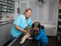 Tierklinik Leimental - cliccare per ingrandire l’immagine 10 in una lightbox