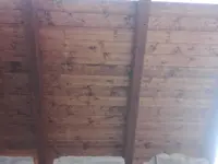 Edilspeed di Totu Iosif