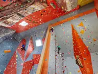 Gecko escalade Sàrl