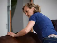 Equine Sports Medicine Services GmbH
