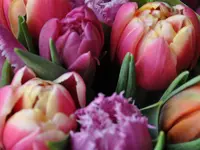 Zimmermann Flaach AG Blumen & Gartenbau