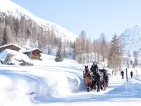 Kutschen Davos - Klicken Sie, um das Bild 2 in einer Lightbox vergrössert darzustellen