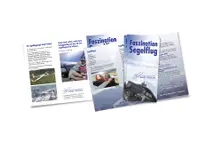 PR Design Roland Pfister