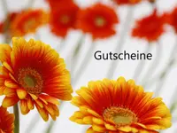 Blumen Maarsen AG