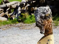 Rieder Holz und Kunst