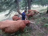 Ferme des Trontières Randogne