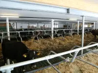 Moser Stalleinrichtungen AG