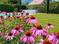 AV Jardin