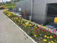 Grab Gartenbau AG