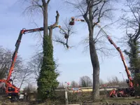 Emery Arbres SA - Klicken Sie, um das Bild 3 in einer Lightbox vergrössert darzustellen