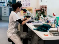 Centro Veterinario Preluna