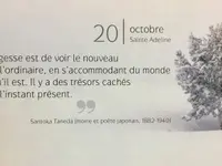 Cabinet Des Fayards