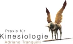 Praxis für Kinesiologie Adriano Tranquilli Komplementär Therapeut mit Branchenzertifikat OdA KT