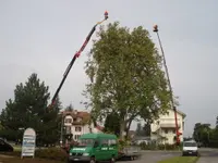 Emery Arbres SA - Klicken Sie, um das Bild 5 in einer Lightbox vergrössert darzustellen