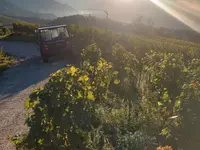 Cave du Cholèk Sàrl