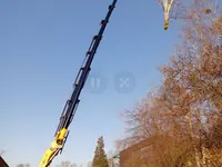 Mammutholzerei GmbH