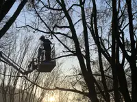 J. Landolt Gartenbau GmbH