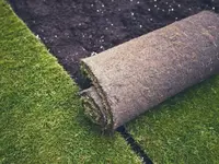 Grünecke Gartenunterhalt und Reinigungsservice GmbH